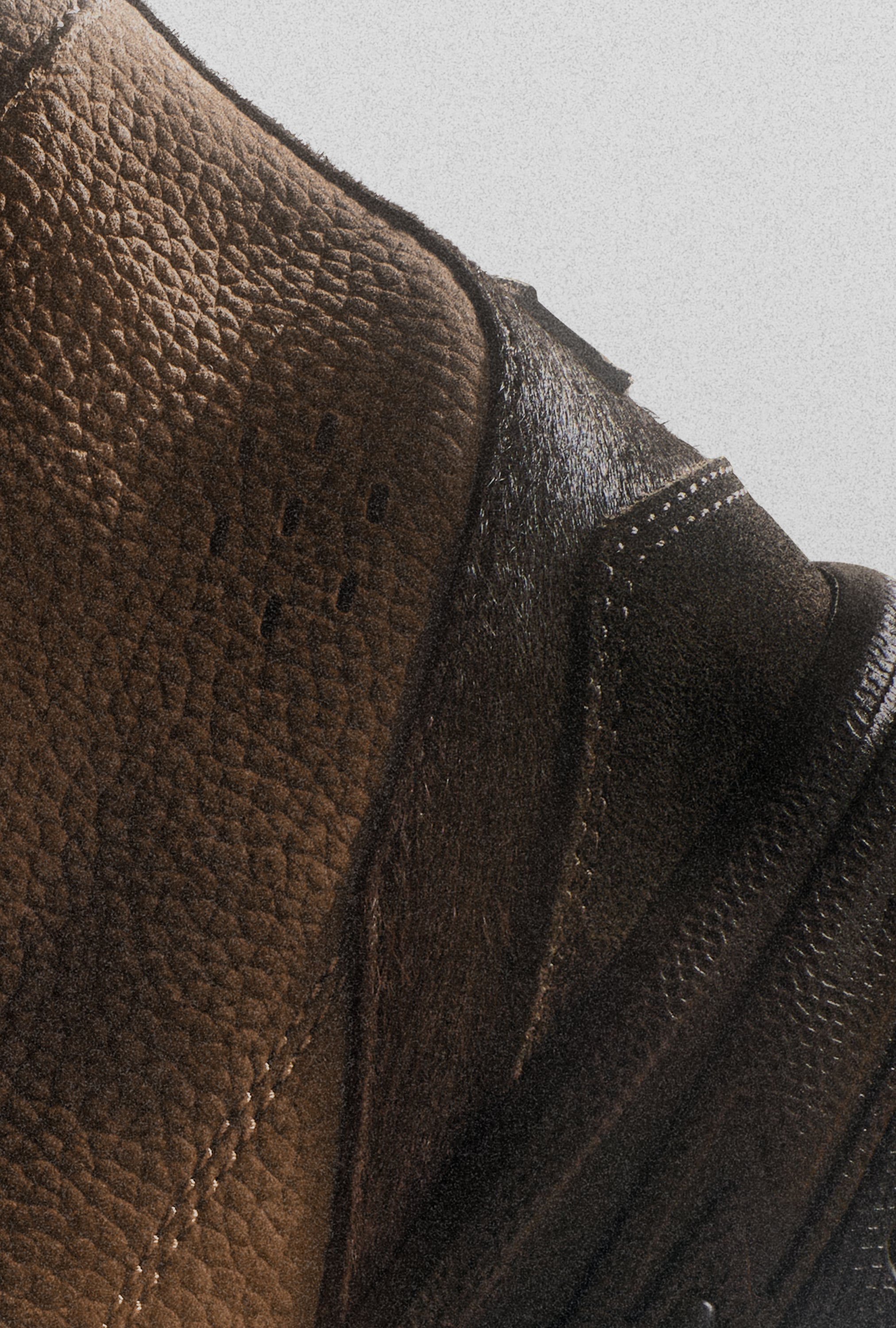 111 WALLABEE NOBUCK CAMEL